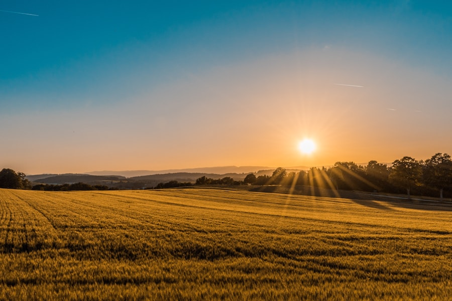 Farm & Ranch — North Texas Real Estate